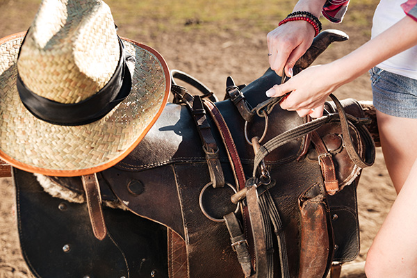 saddle-prepared-for-horse-riding-by-young-woman-co-PM5TM4A